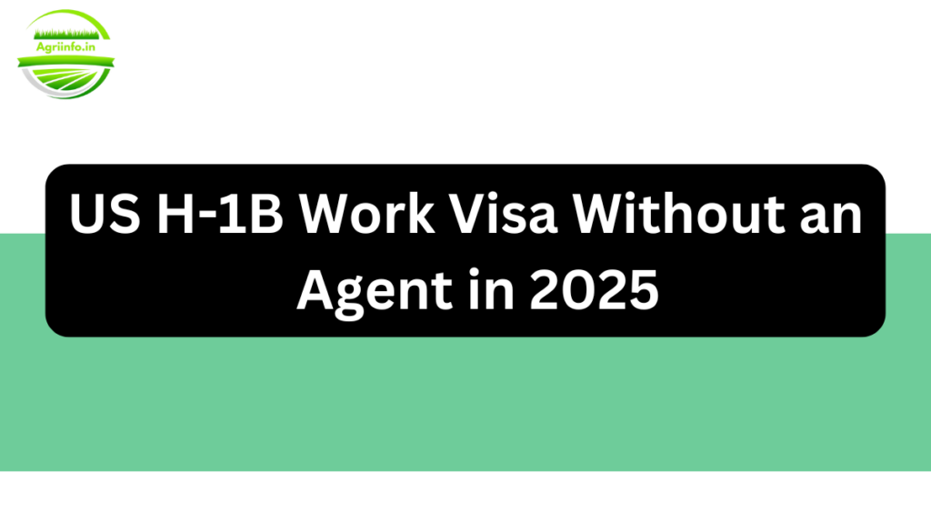 Your Complete Guide to the H-1B Visa Application Process in 2025