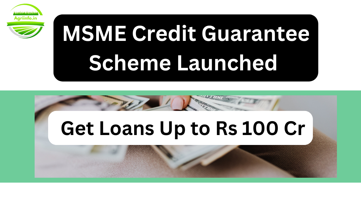 Government Launches New Credit Guarantee Scheme to Boost MSME Growth