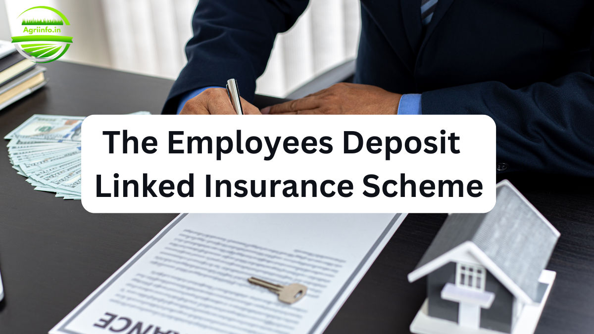 Good News for Employees: The Employees Deposit Linked Insurance (EDLI) Scheme