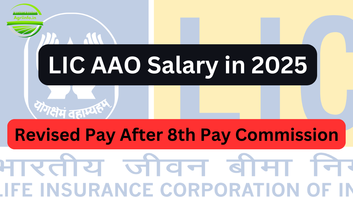 Everything You Need to Know About the LIC Assistant Administrative Officer (AAO) Salary in 2025