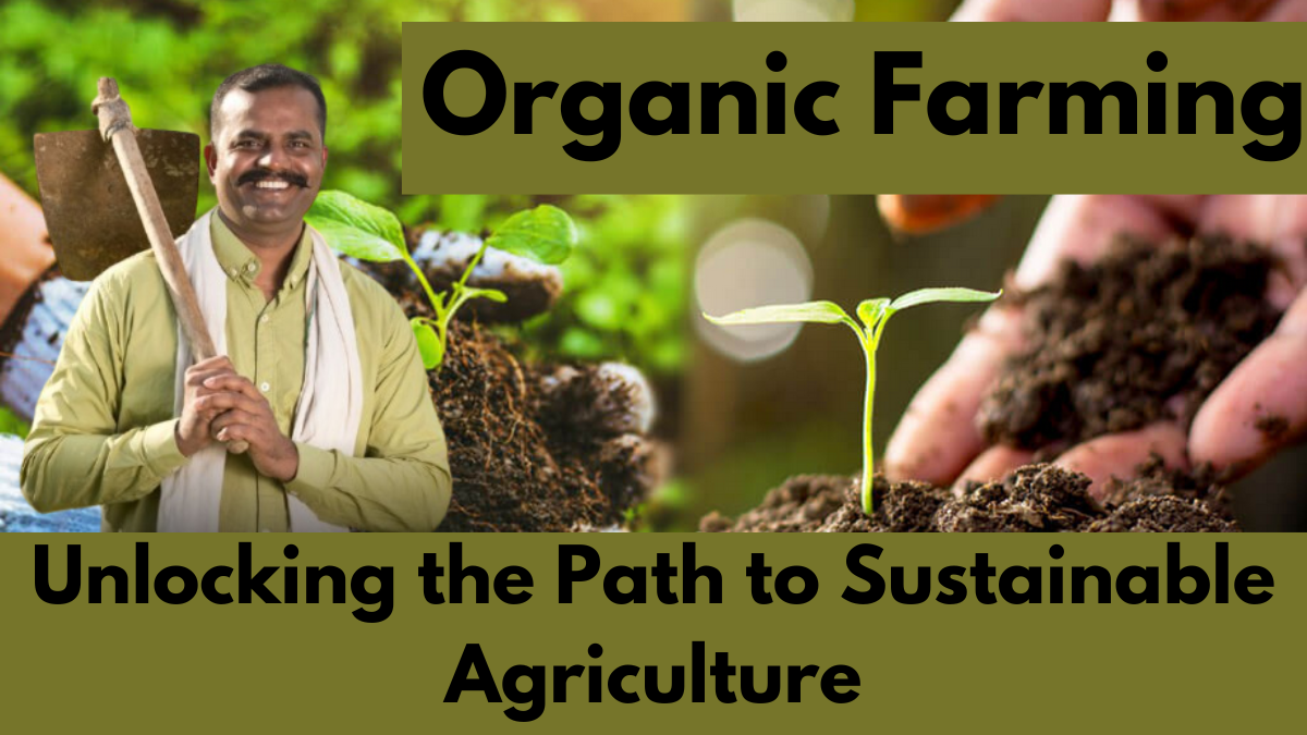 Organic Farming: Unlocking the Path to Sustainable Agriculture