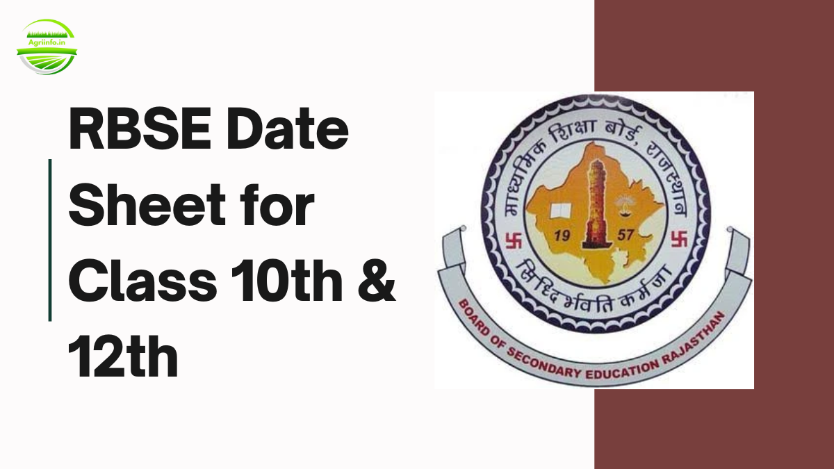 RBSE Date Sheet 2025 for Class 10th & 12th Released: Download PDF Now