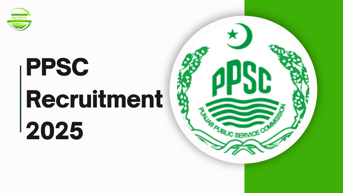 PPSC Recruitment 2025