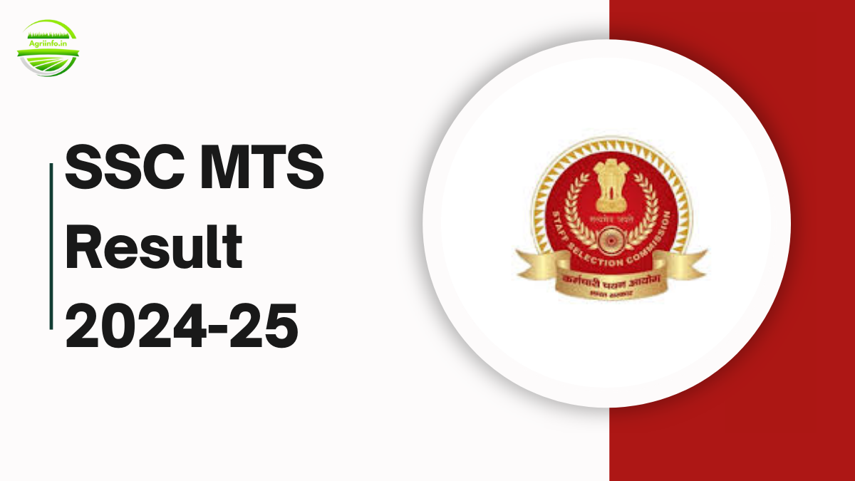 SSC MTS Result 2024-25