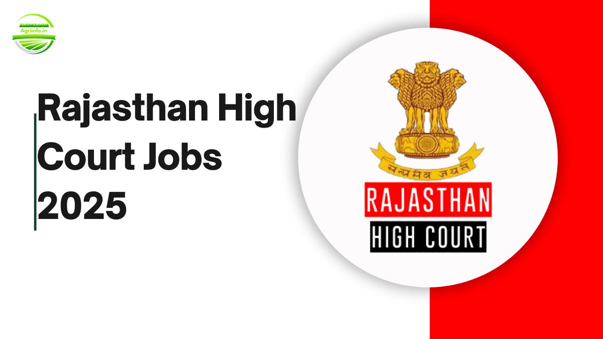 Rajasthan High Court