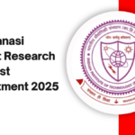 IIT Varanasi Project Research Scientist Recruitment 2025e logo