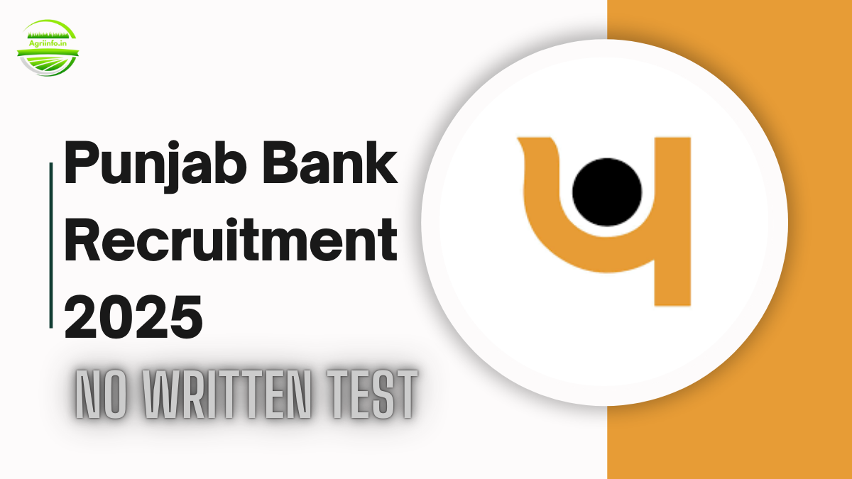 Punjab Bank Recruitment 2025