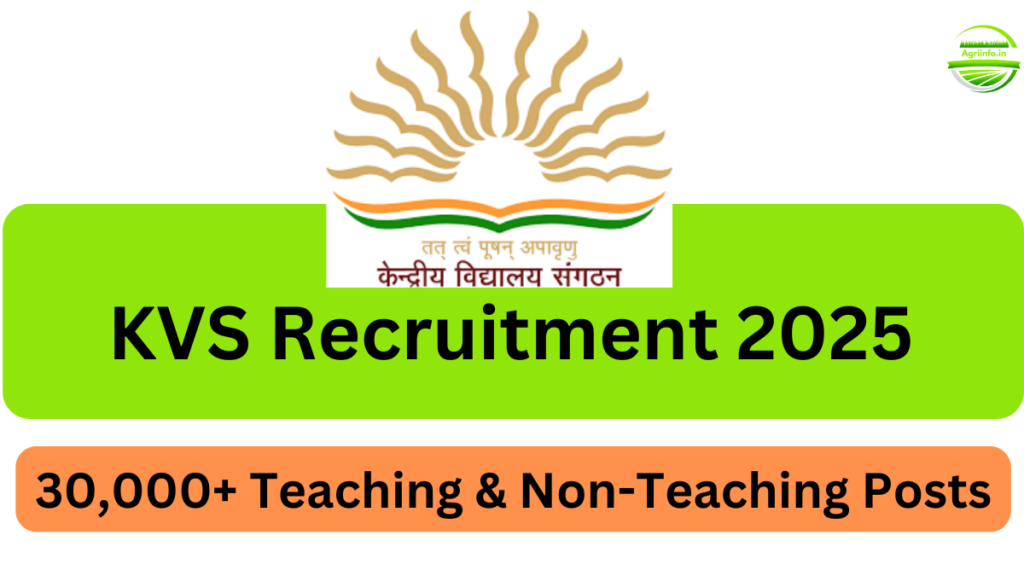 KVS Recruitment 2025: A Golden Opportunity for Job Seekers